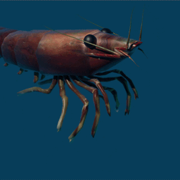 omelettefish